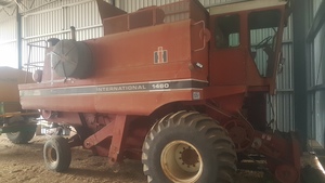 International 1460 Header with 24ft Pea Plucker Front