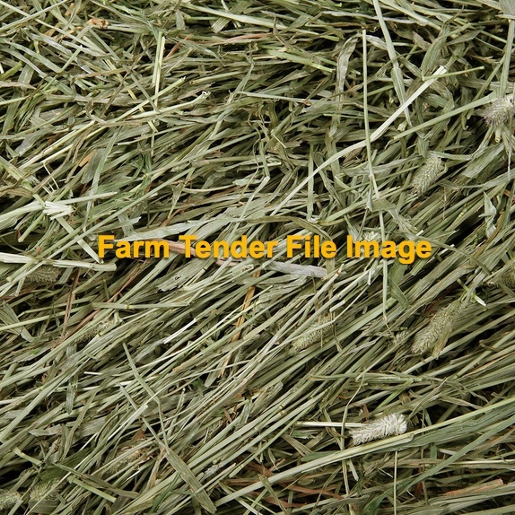 WANTED Single Load of Timothy Hay 