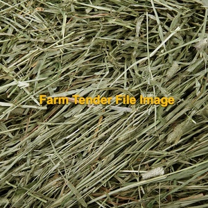 WANTED Single Load of Timothy Hay