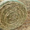 Oaten Hay Rolls 5x4