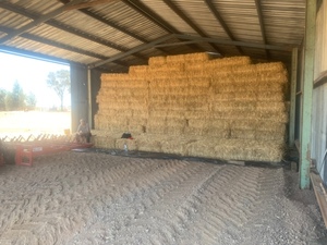 Small Squares Oaten Hay bales - SOLD BY THE BALE - Approximately 1000 Bales
