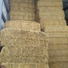 Vetch Hay 8x4x3 Shedded