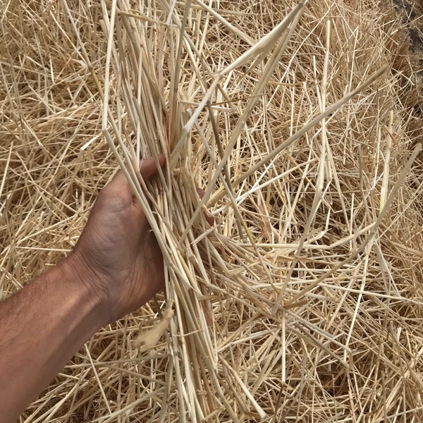 200mt Barley Straw 8x4x3 Bales