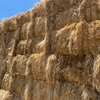 Clover & Rye Grass Hay - 8x4x3 Large Squares
