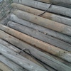 4500 x 12ft x 4inch  Pine Posts  (Ex orchard trellis )