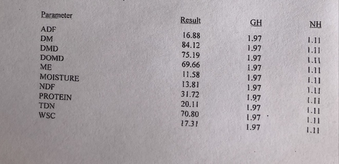 Canola Hay 8x4x3 - 500 x 700 KG Approx Bales  + Freight
