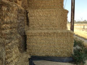 Wheat Straw Bales 8x4x3