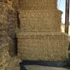 Wheat Straw Bales 8x4x3