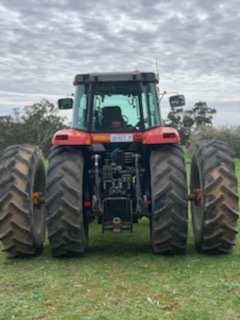 Massey Ferguson 8260 tractor
