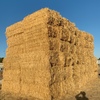 oaten hay  
