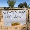 WHEATEN HAY FOR SALE