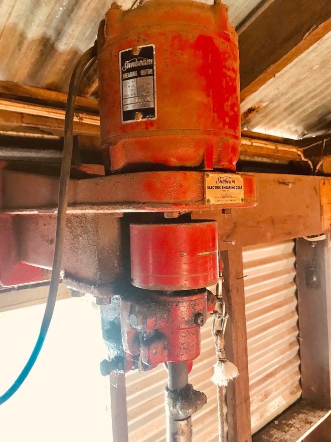 sunbeam shearing plant