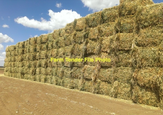 40mt Oaten Hay 600kg 8x4x3 Bales (New Season)