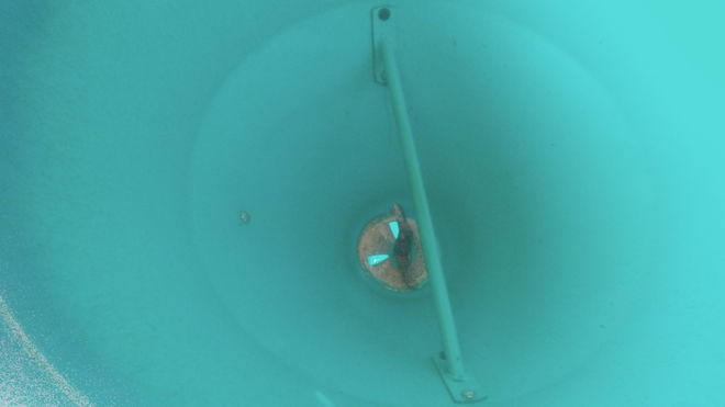 3PL Gamberini super/ fertiliser spreader