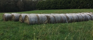 Clover & Rye Pasture Hay 5x4 Round Bales