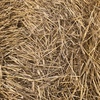 1000mt Wheaten Straw 500kg 8x4x3 Bales