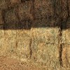 Wheaten Hay 8x4x3 - Canowindra NSW