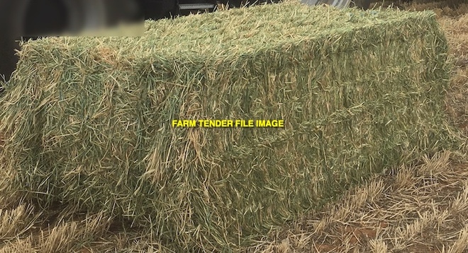 100mt Barley & Rye Hay 600kg 8x4x3 Bales