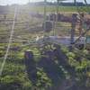 Claas Rotary Hay Rake