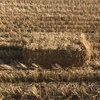 small straw bales