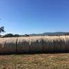 100mt Oaten Hay 5x4 Rolls