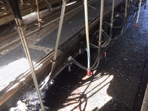 Herringbone Dairy 18 a side - make an offer