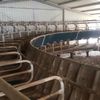 50 stand Fullwood rotary dairy complete