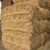 Balansa Clover Hay 8x4x3 Bales