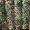 240mt Lentil/Clover 600-650kg Hay 8x4x3 (New Season 2019/2020)