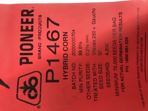 P1467 MAIZE SEED BAGS