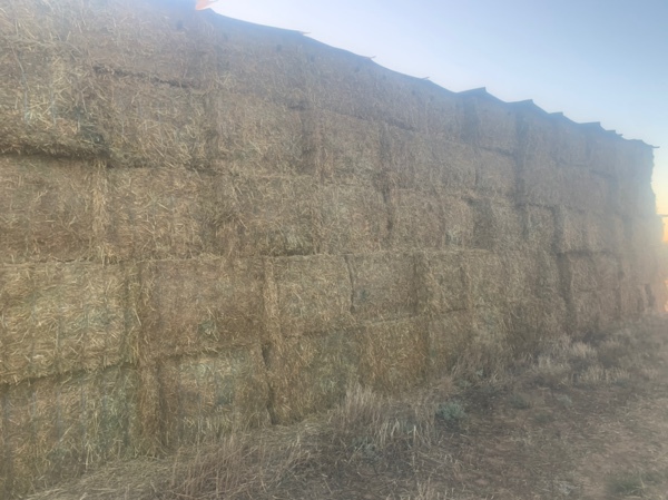 150mt Vetch Oaten Hay 8x4x3 Bales new season