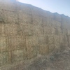 150mt Vetch Oaten Hay 8x4x3 Bales new season