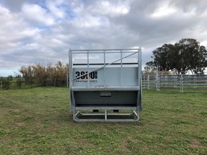 4 Advantage Cattle Feeders For Sale