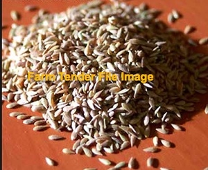 WANTED Phalaris Seed