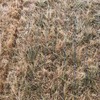 Pasture Hay in 8 String 8x4x3 Bales