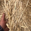 200mt Wheaten Straw 8x4x3