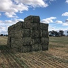 Oaten Hay
