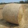 Oaten Hay