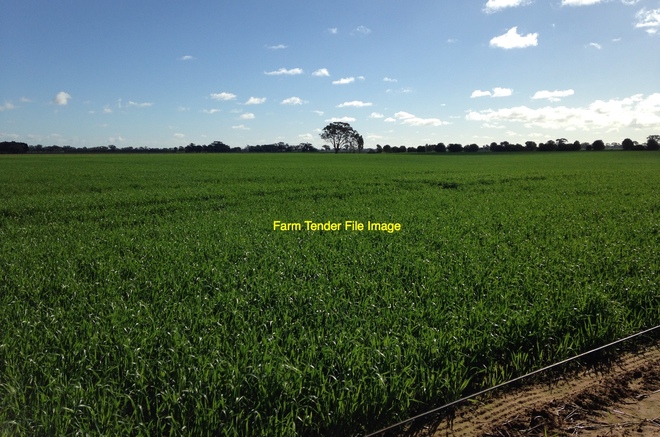 Agistment Wanted Northern Vic and Surrounding Areas 