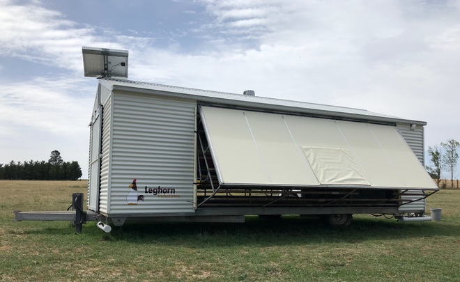 Leghorn Freeranger L 1000 