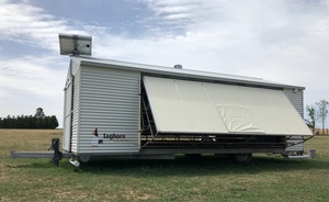 Leghorn Freeranger L 1000 