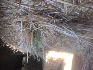 60mt Oaten Hay 600kg 8x4x3 Bales