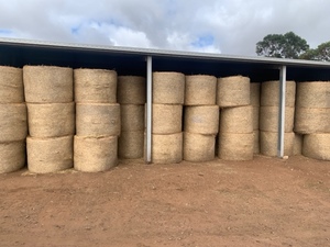 High Quality Wheaten & Barley Hay for sale