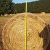 900 x Rye & Clover Hay 5x4 Rolls