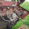 Massey Ferguson Antique Baler