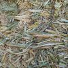 Wheaten Hay 8x4x3 9.9 ME