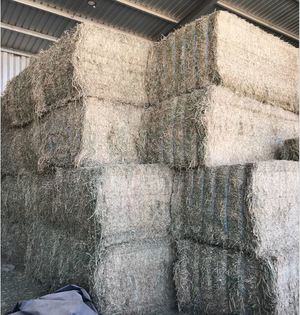 1st Cut Lucerne Big Squares