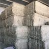 1st Cut Lucerne Big Squares
