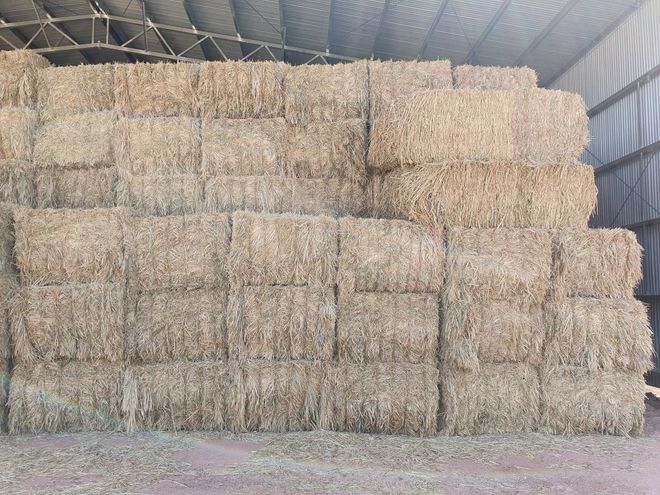 200 - 8x4x3 Oaten Hay . shedded nice hay