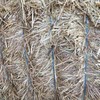 Barley Straw 8x4x3 Shedded 
